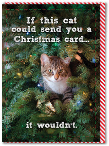 Cat Christmas Card