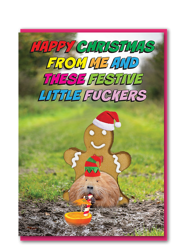 Happy Christmas from me and these festive little fuckers Christmas Card