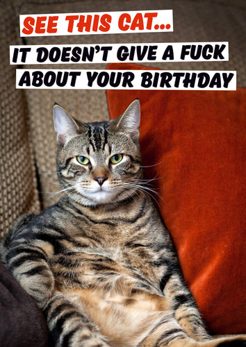 Dean Morris - See This Cat... Birthday Card