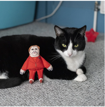 Pet Hates Nicola Sturgeon Cat Toy