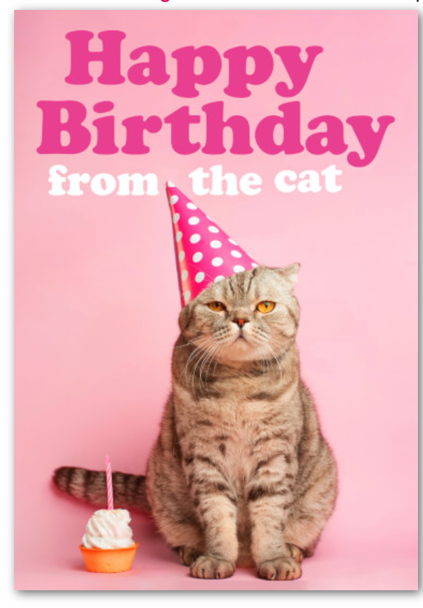 Dean Morris - Happy Birthday From The Cat Card