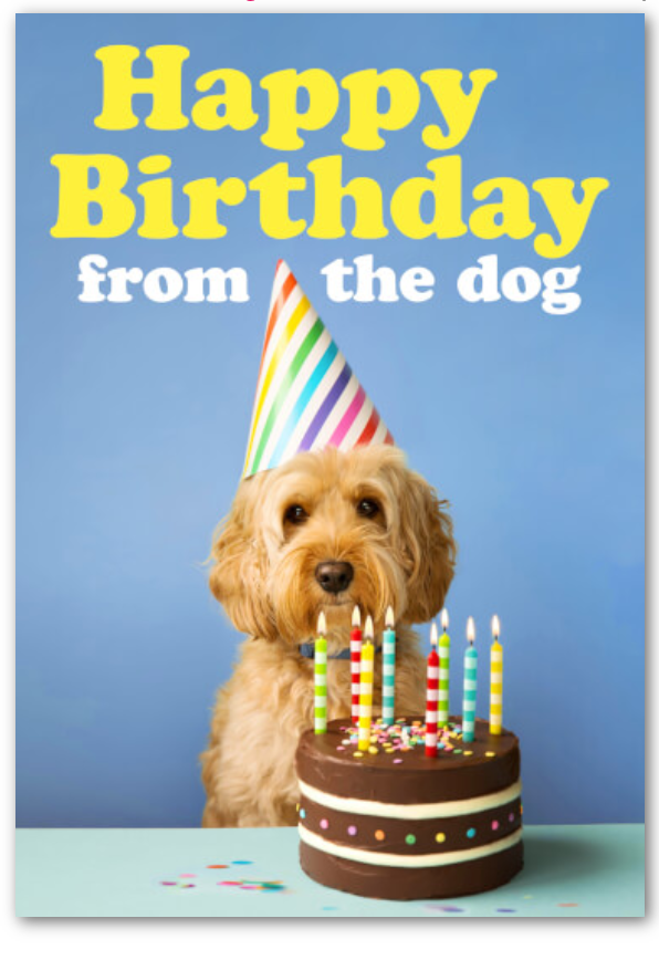 Dean Morris - Happy Birthday From The Dog Card