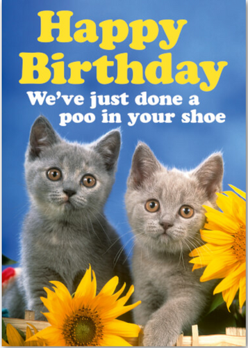 Dean Morris - Cats Done A Poo In Your Shoe Birthday Card