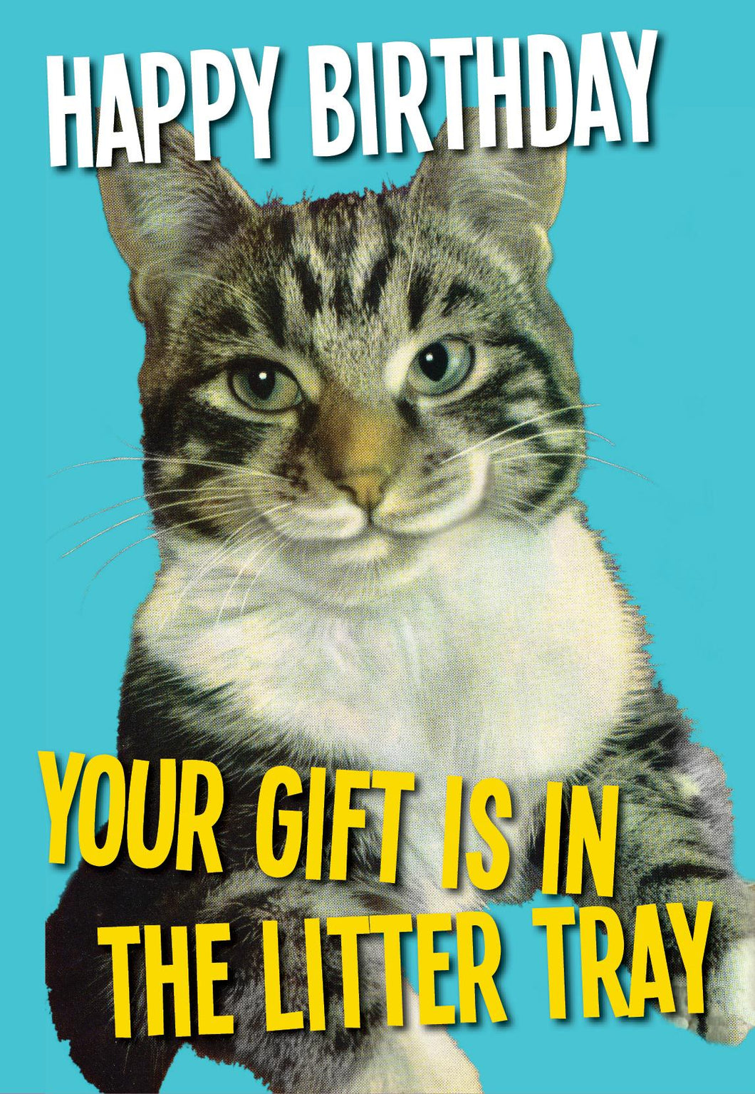 Kissmekwik - Happy Birthday....Your Gift is in the Litter Tray Card